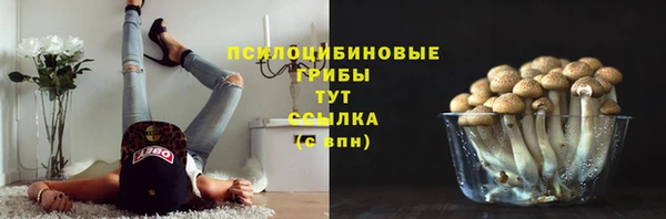 apvp Абдулино