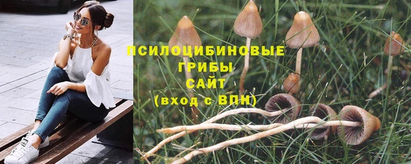 2c-b Абинск